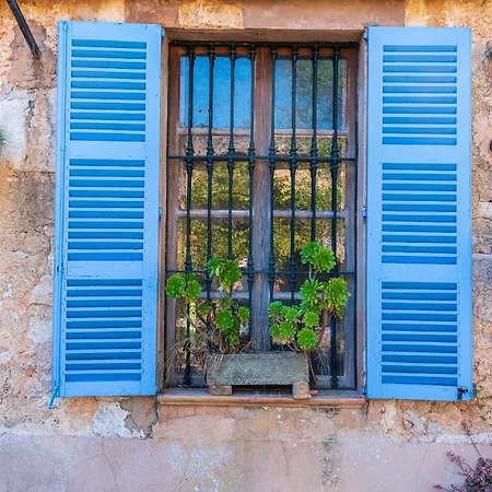 Farm stay Sa Casa Rotja Sineu (Mallorca)
