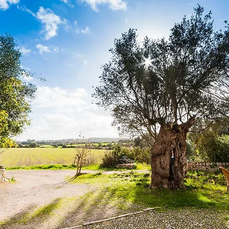 Sa Casa Rotja Farm stay