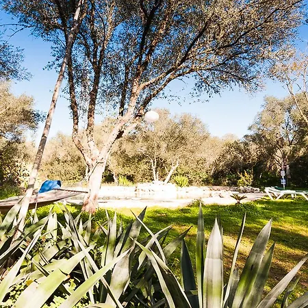 Sa Casa Rotja Farm stay *